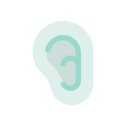 HNO Icon