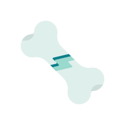 Ortho Icon