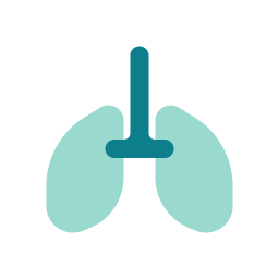 Pneumo Icon
